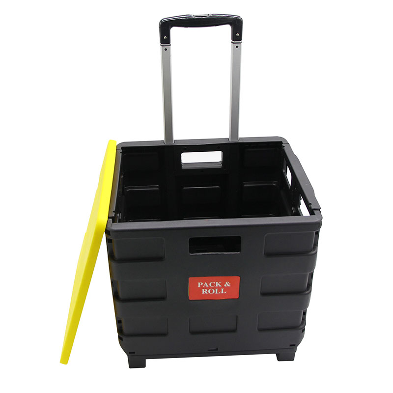 Folding Plastic Muti-function Shopping Cart